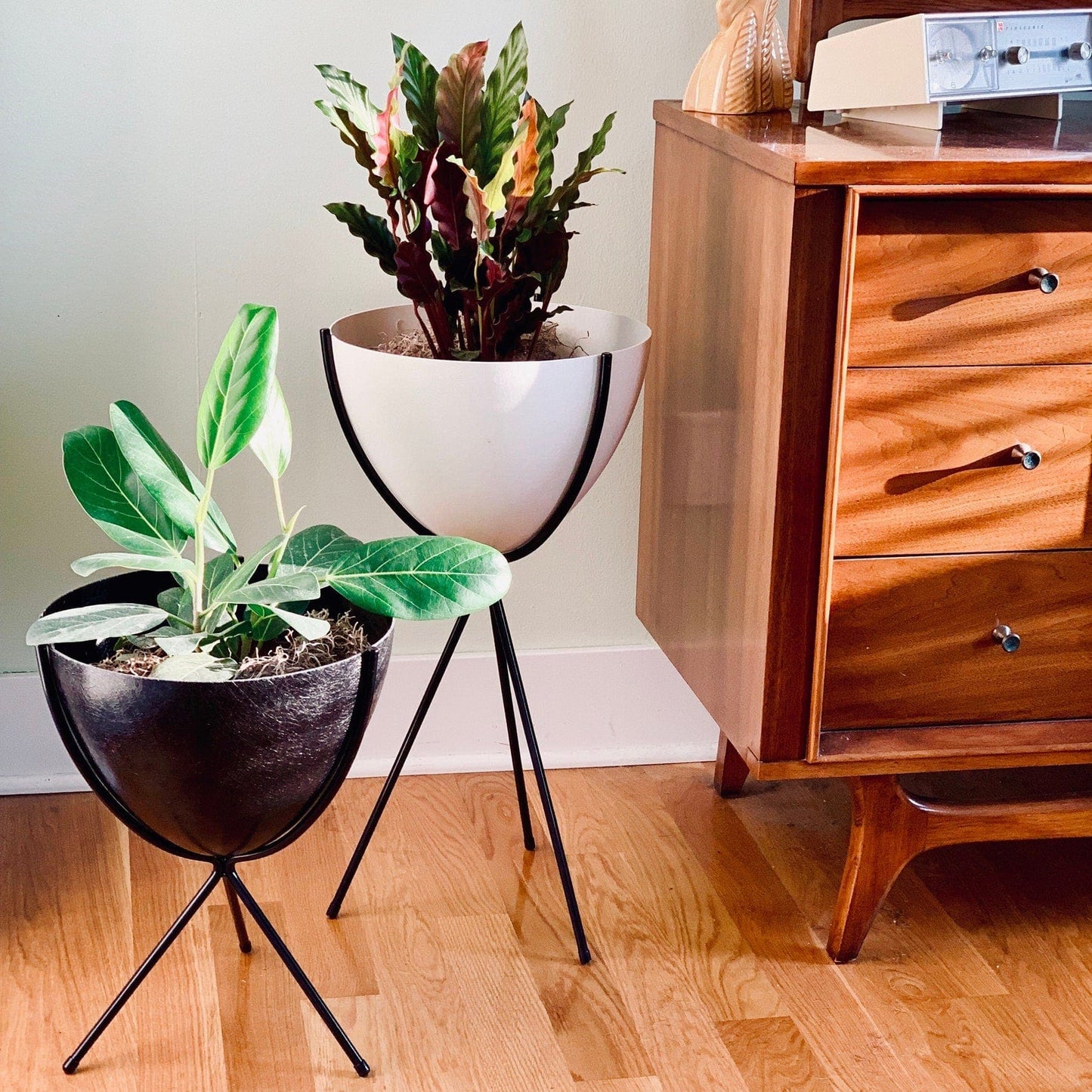 Small bullet planter with black pot and large bullet planter with natural white pot. Both planters have black bases and come with floor protectors.